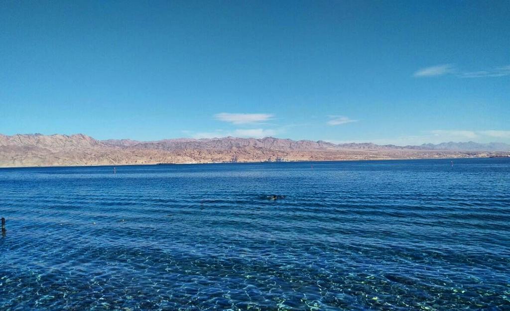 Red Sea Garden Apartment Ejlat Zewnętrze zdjęcie