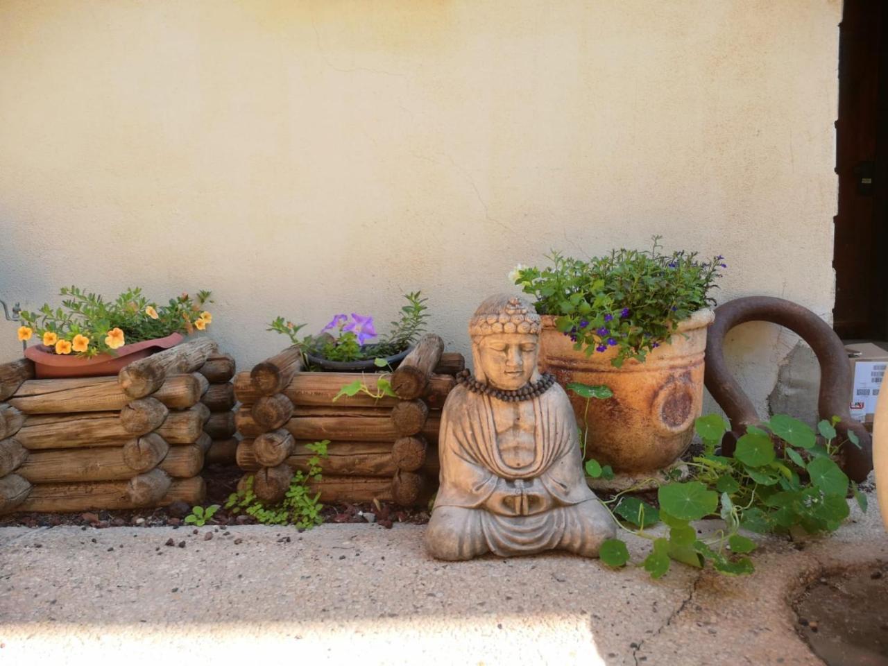 Red Sea Garden Apartment Ejlat Zewnętrze zdjęcie
